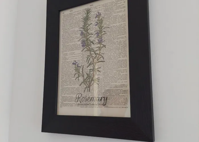 Il Rosmarino - Con Giardino *